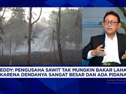 Bersyukur Kebun Sawit Tak Kena Karhutla, GAPKI Ikut Bantu Padamkan Kebakaran