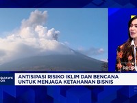 Efek Erupsi Gunung - Karhutla Mengancam RI, Seberapa Kuat Dunia Binsis Bertahan?