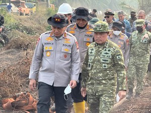Kapolda Riau dan Pangdam Cek Karhutla di Inhu, Tegaskan Upaya Kolaboratif