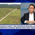 Kemarau Panjang Bikin Sungai Mengering, Pengusaha Sawit Sulit Angkut CPO