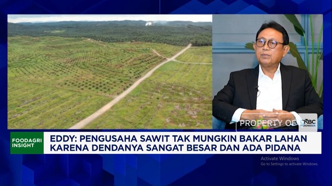 Video: Kemarau Bikin Sungai Kering, Pengusaha Sawit Sulit Angkut CPO