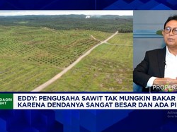 Kemarau Panjang Bikin Sungai Mengering, Pengusaha Sawit Sulit Angkut CPO