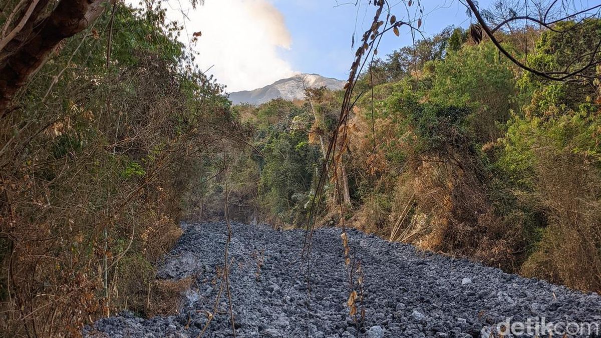 Lava Gunung Ile Lewotolok Sudah Masuk Kampung Lama Lewohala
