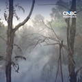 Pengusaha Bantah Bakar Hutan Untuk Tanam Sawit, GAPKI: Izin Saja Belum Keluar!