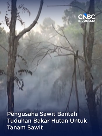 Pengusaha Bantah Bakar Hutan Untuk Tanam Sawit, GAPKI: Izin Saja Belum Keluar!