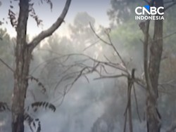 Pengusaha Bantah Bakar Hutan Untuk Tanam Sawit, GAPKI: Izin Saja Belum Keluar!