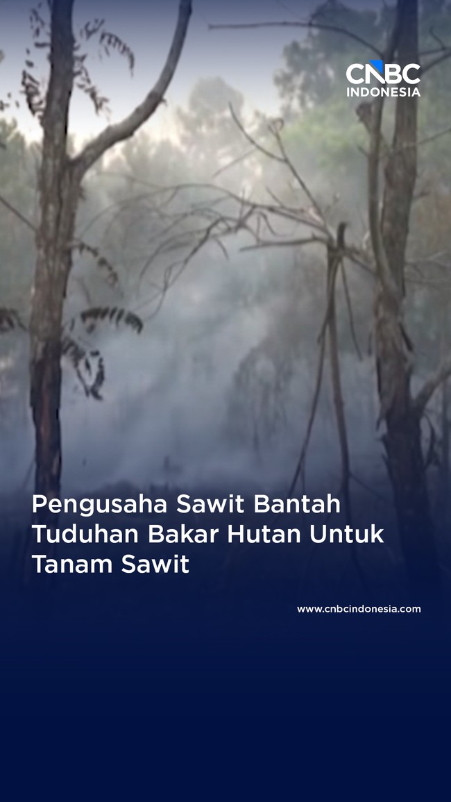 Pengusaha Bantah Bakar Hutan Untuk Tanam Sawit, GAPKI: Izin Saja Belum Keluar!