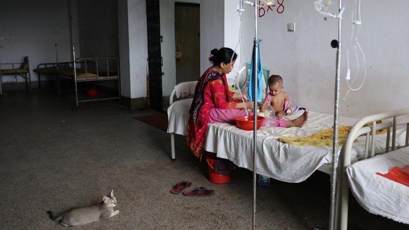 Seekor kucing duduk di lantai tempat seorang anak yang terinfeksi campak sedang menjalani perawatan di Rumah Sakit Penyakit Menular di Dhaka, Bangladesh, pada 9 September 2026.