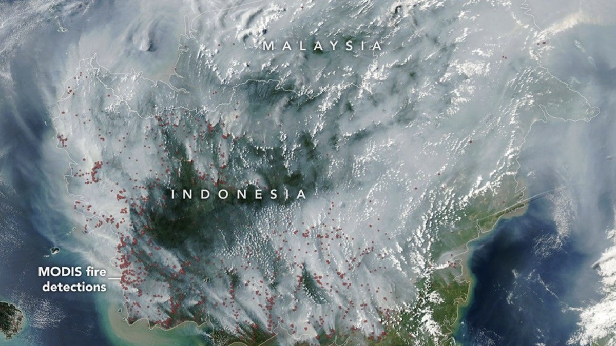 Satelit NASA Ungkap Kondisi Sebenarnya Kebakaran di Kalimantan