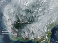 Sejumlah titik api terlihat akibat Kebakaran Lahan Gambut Gelapkan Langit di Indonesia. (Dok. NASA)