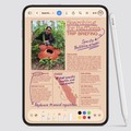 iPhone Duo