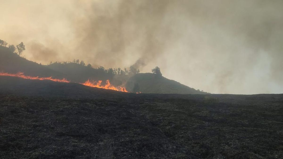 Bromo Membara Lagi, Akses Wisatawan Lewat Malang Ditutup Total