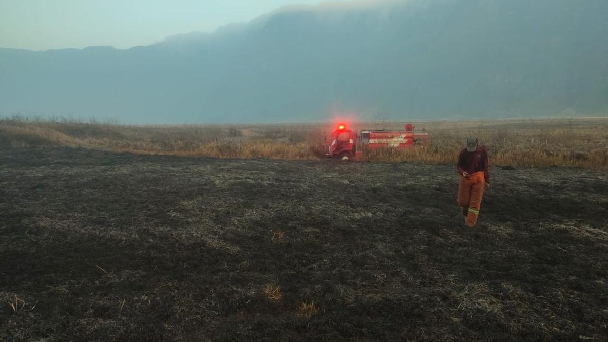 Petugas Gabungan Diterjunkan Padamkan Kebakaran Bromo