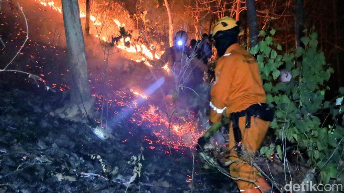 Medan Terjal Jadi Tantangan Padamkan Kebakaran Gunung Prongos Ponorogo