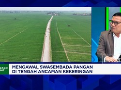 Kekeringan Ancam Swasembada Pangan, DPR Minta Perbaikan Bendungan - Irigasi Dipercepat