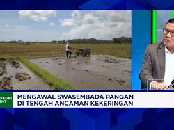 Ketersediaan Air Jadi Kunci Produksi Pangan, Komisi IV Minta Kementerian PU Lakukan Ini
