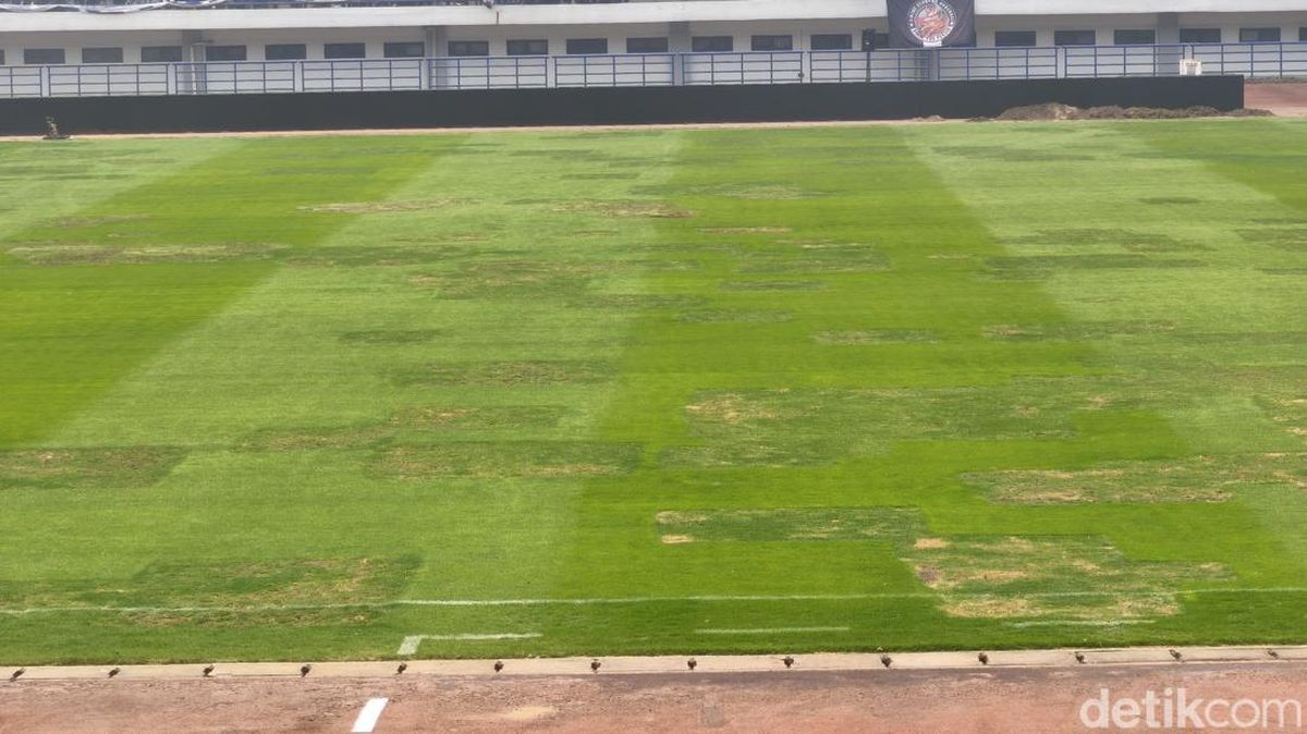 Penampakan Terkini Rumput Stadion GBLA