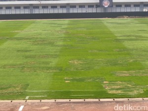 Penampakan Terkini Rumput Stadion GBLA