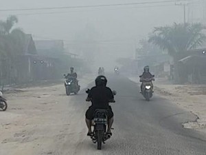 PM2.5 dan PM10 untuk Ukur Kualitas Udara: Mana yang Lebih Berbahaya?