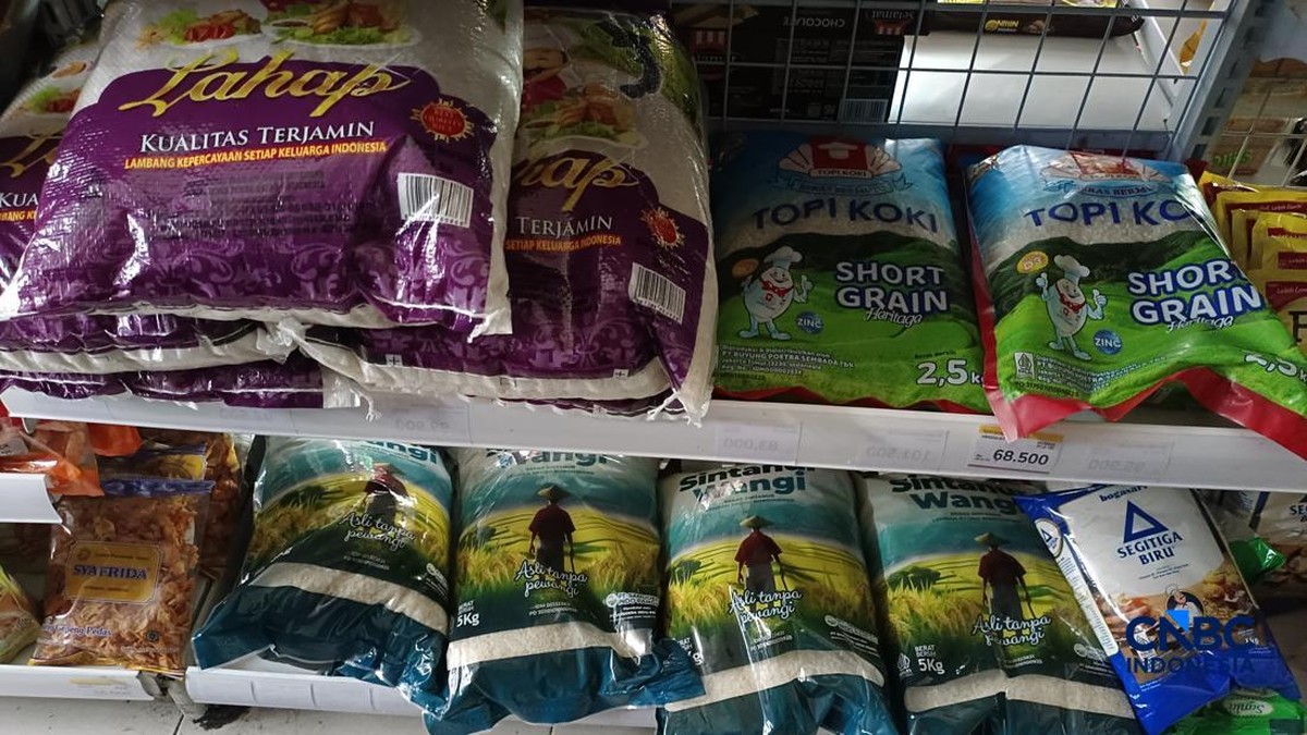 Ada Kabar Beras Premium di Ritel Langka-Pembelian Dibatasi, Apa Benar?