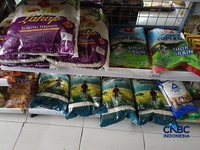 Pantauan stok beras premium di ritel modern daerah Jakarta Pusat, Kamis (10/9/2026). (CNBC Indonesia/Martyasari Rizky)