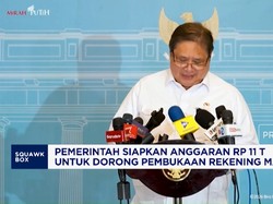 Pemerintah: Siapkan Rp11 T untuk Dorong Pembukaan Rekening Massal