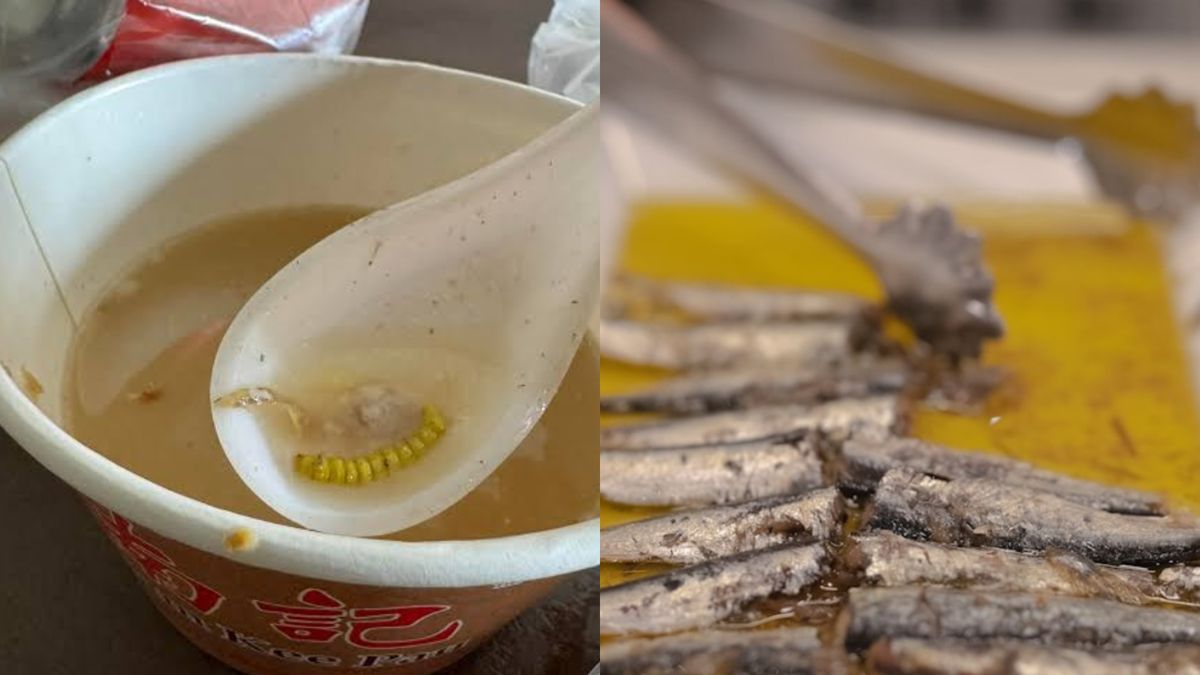 Wanita Temukan Benda Diduga Kelabang di Mie, Staf Gerai Bilang Ikan Teri