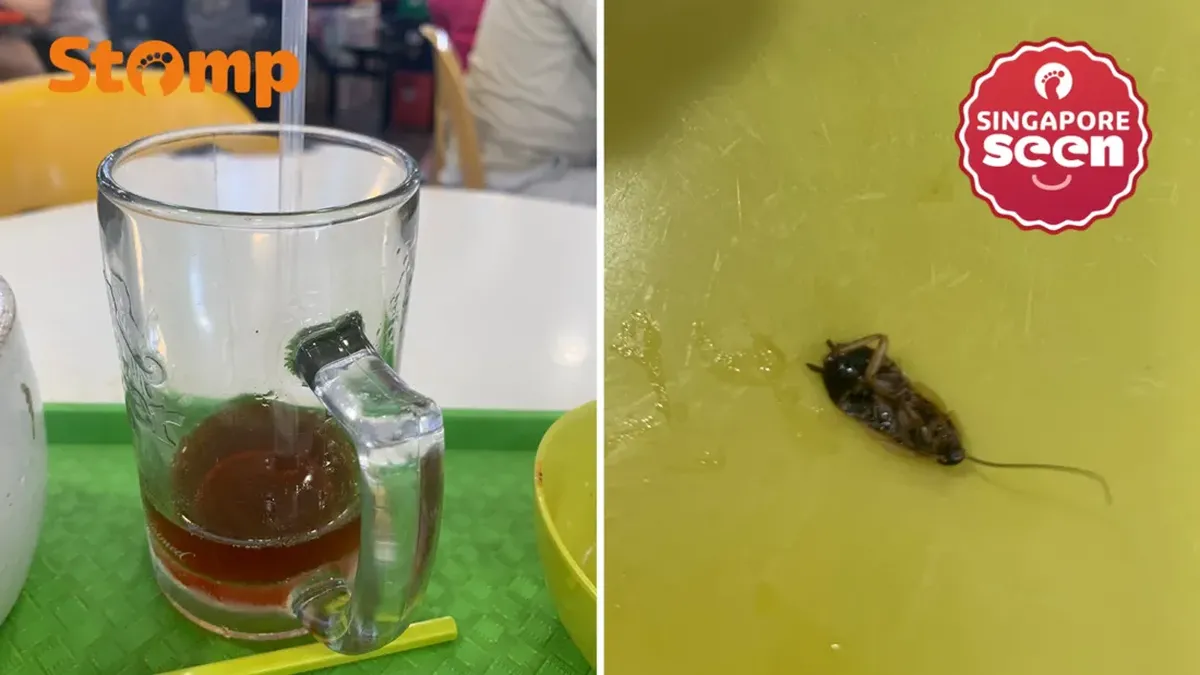 Hiii! Wanita Ini Hampir Telan Kecoak Saat Minum Teh