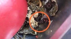 Viral Kaki Seribu Ditemukan Dalam Lauk Menu MBG Ibu Hamil di Pasangkayu