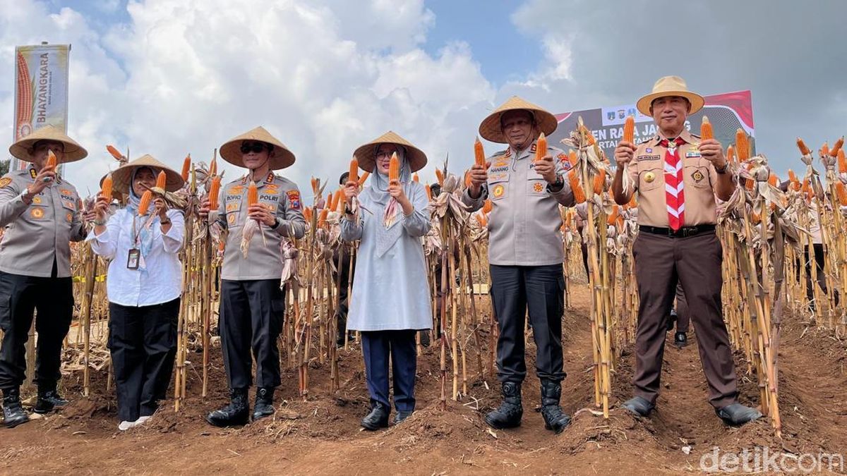 Benih Jagung Bhayangkara Siap Disebar ke Seluruh Penjuru Jatim