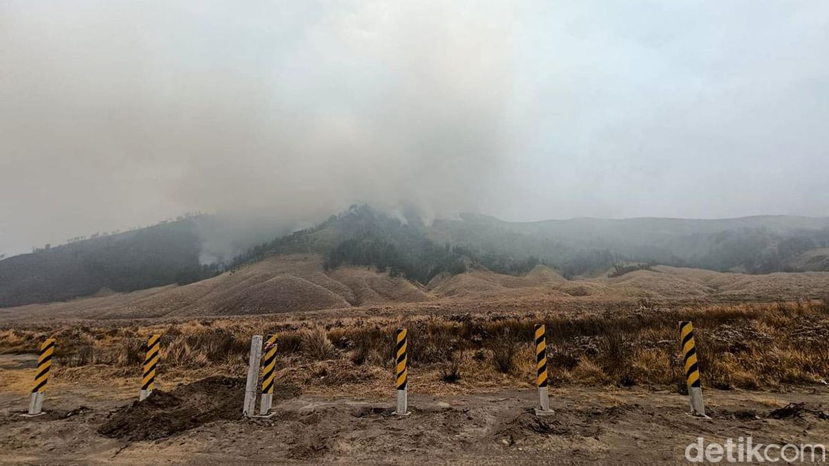 BPBD Jatim Ungkap Kondisi Terbaru Kebakaran Blok Pengol Gunung Bromo