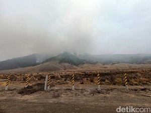 BPBD Jatim Ungkap Kondisi Terbaru Kebakaran Blok Pengol Gunung Bromo
