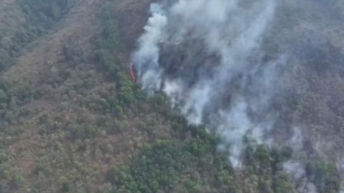 Gunung Ciremai Kembali Terbakar