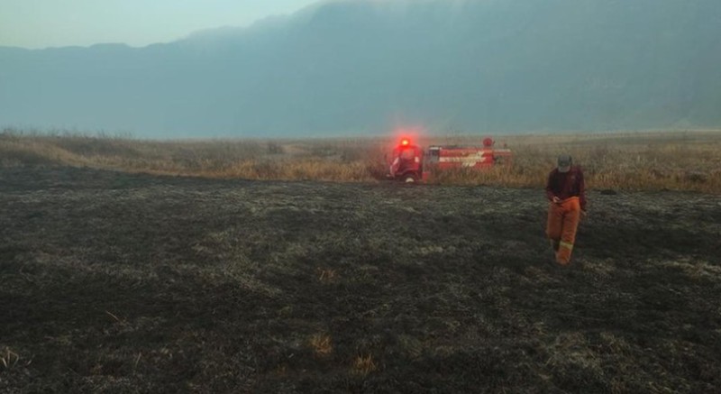 Kebakaran Savan Bromo. (TangkapanLayar bbtn bromo tengger semeru)