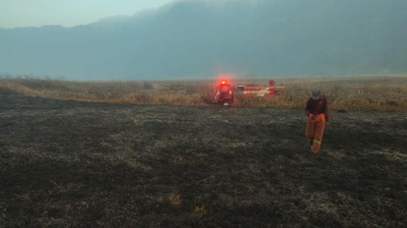 Kebakaran di Sabana Blok Penggol dekat Bukit Teletubbies Gunung Bromo. (Foto: Istimewa via Detikcom)