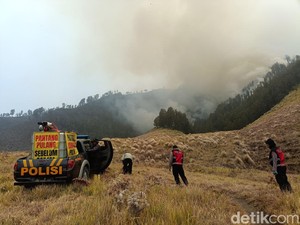 Kebakaran Hutan Blok Pengol Bromo Merembet ke Arah Bukit Teletubbies