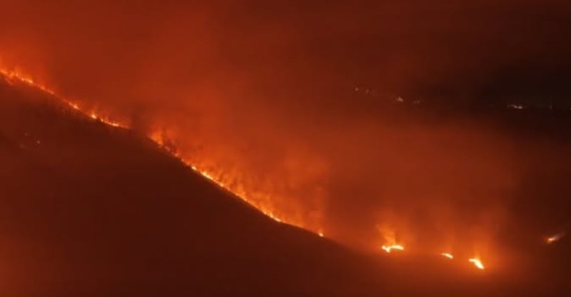 Kebakaran Savan Bromo. (TangkapanLayar bbtn bromo tengger semeru)