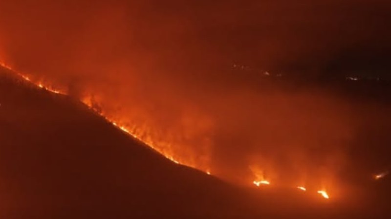 Kebakaran Savan Bromo. (TangkapanLayar bbtn bromo tengger semeru)