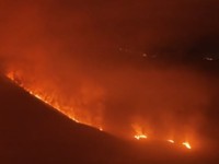 Kebakaran Savan Bromo. (TangkapanLayar bbtn bromo tengger semeru)