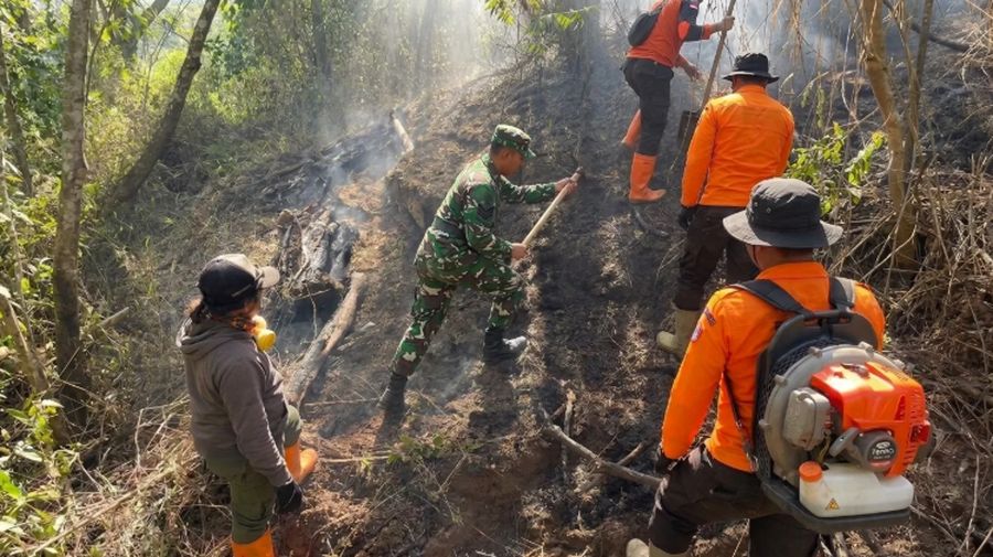 Kebakaran Savana Gunung Bromo. (Ist Kodam5 brawijaya TNI)