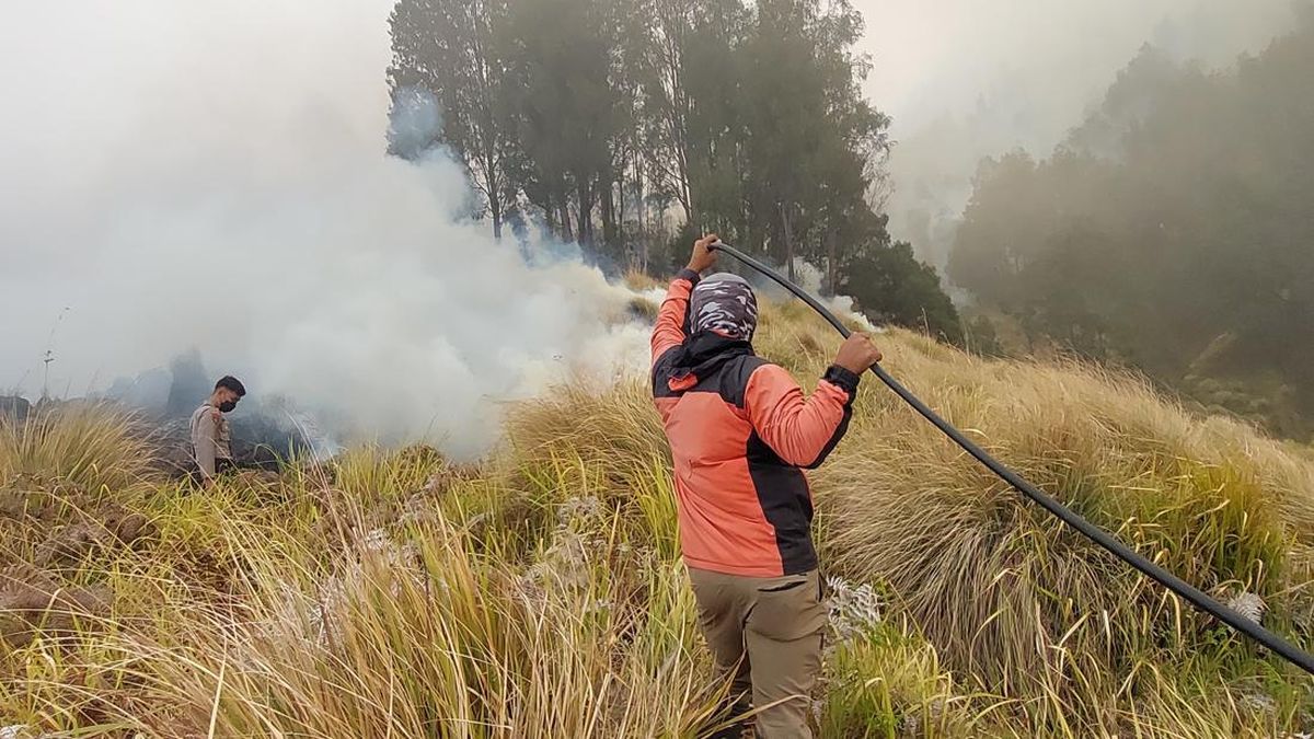 Api Terus Membesar dan Membakar Kawasan Blok Pengol Bromo Tengger