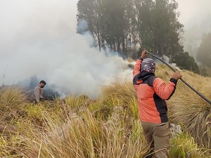Api Terus Membesar dan Membakar Kawasan Blok Pengol Bromo Tengger