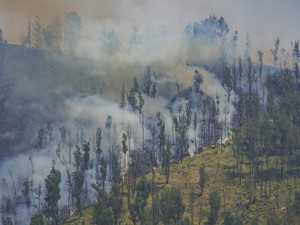 Video: Helikopter Waterbombing Padamkan Api Bromo, Terkendala Kabut-Angin