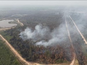 Kebun Raya Sriwijaya Kembali Terbakar, Tim Lakukan Pemadaman