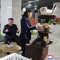North Korean leader Kim Jong Un visits the Hwasong Pet Shop as he inspects service facilities in the Fourth-Stage District of the Hwasong area, accompanied by his daughter Kim Ju Ae, in Pyongyang, North Korea, in this picture released by North Korea'