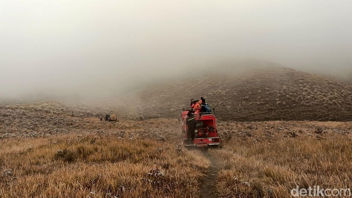 Petugas Gabungan Berjibaku Padamkan Karhutla Bromo