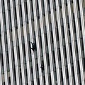Rekaman orang-orang yang jatuh  dari gedung WTC pada peristiwa 9/11. (Instagram/911wtcarchives)