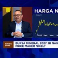 RI Naik Kelas Jadi "Price Maker" Nikel, Bursa Mineral Bisa Wujudkan?