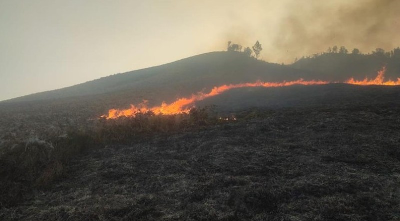 Kebakaran Savan Bromo. (TangkapanLayar bbtn bromo tengger semeru)