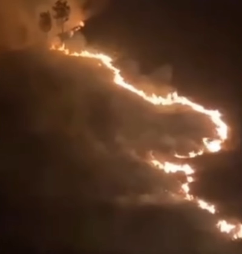 Kebakaran Savan Bromo. (TangkapanLayar bbtn bromo tengger semeru)